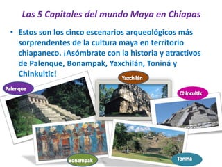 Las 5 Capitales del mundo Maya en Chiapas 
• Estos son los cinco escenarios arqueológicos más 
sorprendentes de la cultura maya en territorio 
chiapaneco. ¡Asómbrate con la historia y atractivos 
de Palenque, Bonampak, Yaxchilán, Toniná y 
Chinkultic! 
 