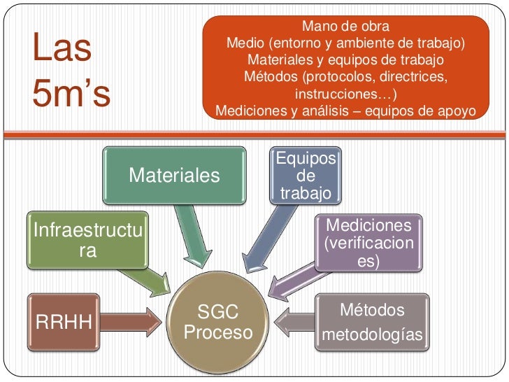 Las 5m's