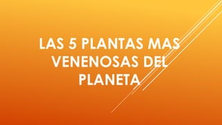 LAS 5 PLANTAS MAS
  VENENOSAS DEL
     PLANETA
 