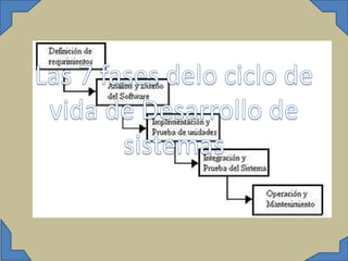 Las 7 fases del ciclo de vida