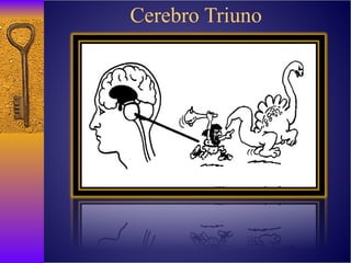 Cerebro Triuno 