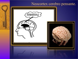 Neocortex cerebro pensante. 