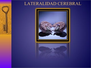 LATERALIDAD CEREBRAL 