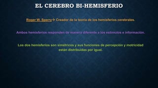 EL CEREBRO BI-HEMISFERIO
Roger W. Sperry Creador de la teoría de los hemisferios cerebrales.

Ambos hemisferios responden de manera diferente a los estímulos e información.

Los dos hemisferios son simétricos y sus funciones de percepción y motricidad
están distribuidas por igual.

 