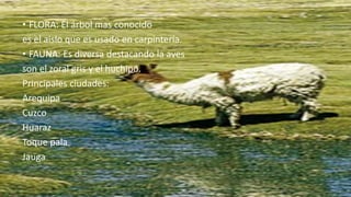 • FLORA: El árbol mas conocido
es el aislo que es usado en carpintería.
• FAUNA: Es diversa destacando la aves
son el zoral gris y el huchipo.
Principales ciudades:
Arequipa
Cuzco
Huaraz
Toque pala
Jauga
 
