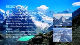 REGION JANCA
Esta zona extiende desde los 4800 a 6768
(metros sobre el nivel del mar)
• Clima: La región janca ´polar
en las montañas.
• Relieve: La región janca presenta
un relieve abrupto y escarpado
rocoso.
• flora y fauna: La región janca es
la menor cobertura animal y vegetal.
La flora típica esta formada por la yareta.
 