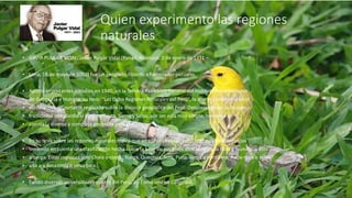 Quien experimento las regiones
naturales
• GAVIR PULGAR VIDAL: Javier Pulgar Vidal (Panao, Huánuco, 2 de enero de 1911 –
• Lima, 18 de mayo de 2003) fue un geógrafo, filósofo e historiador peruano.
• Aportó importantes estudios en 1940, en la Tercera Asamblea General del Instituto Panamericano
• de Geografía e Historia, su tesis: “Las Ocho Regiones Naturales del Perú”, la que se convertiría en el
• estudio más importante realizado sobre la división geográfica del Perú. Desplazando así la división
• tradicional que dividía al Perú en Costa, Sierra y Selva, por ser esta muy simple, teniendo en
• cuenta la diversa y compleja geografía peruana.
• En su tesis sobre las regiones naturales indica que en el Perú existen ocho regiones bien definidas
• teniendo en cuenta una clasificación hecha sobre la base de sus pisos altitudinales, la flora y fauna que éste
• alberga. Estas regiones son: Chala o costa , Yunga, Quechua, Suni, Puna, Janca o cordillera, Rupa-rupa o selva
• alta o y Amazonía o selva baja.
• Fundó diversas universidades dentro del Perú, así como una en Colombia.
 