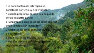 • La flora: La flora de esta región se
Caracteriza por ser muy rica y variada.
• División geográfica: la selva baja se puede
Dividir en cuatro partes:
1-Tahuampas o aguajes son las zonas que mas
Estan tiempo estan inundadas.
2-Restig son las zonas de mayor altitud
de esa región.
3-Los altos son las áreas no inundables.
4-Los filos vienen a ser las proporciones
Mas sobresaliente.
 