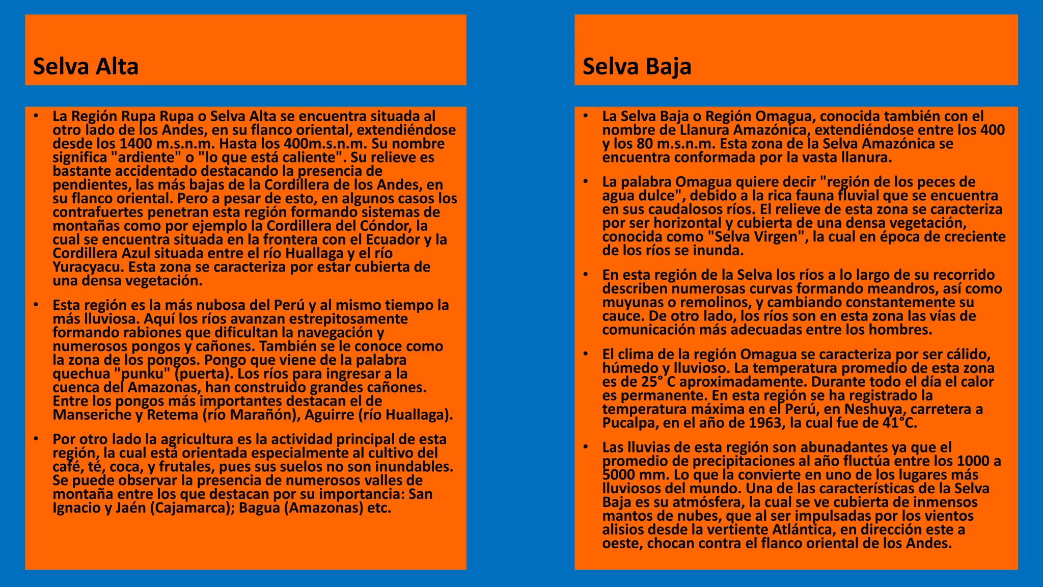 Selva Alta
• La Región Rupa Rupa o Selva Alta se encuentra situada al
otro lado de los Andes, en su flanco oriental, extendiéndose
desde los 1400 m.s.n.m. Hasta los 400m.s.n.m. Su nombre
significa "ardiente" o "lo que está caliente". Su relieve es
bastante accidentado destacando la presencia de
pendientes, las más bajas de la Cordillera de los Andes, en
su flanco oriental. Pero a pesar de esto, en algunos casos los
contrafuertes penetran esta región formando sistemas de
montañas como por ejemplo la Cordillera del Cóndor, la
cual se encuentra situada en la frontera con el Ecuador y la
Cordillera Azul situada entre el río Huallaga y el río
Yuracyacu. Esta zona se caracteriza por estar cubierta de
una densa vegetación.
• Esta región es la más nubosa del Perú y al mismo tiempo la
más lluviosa. Aquí los ríos avanzan estrepitosamente
formando rabiones que dificultan la navegación y
numerosos pongos y cañones. También se le conoce como
la zona de los pongos. Pongo que viene de la palabra
quechua "punku" (puerta). Los ríos para ingresar a la
cuenca del Amazonas, han construido grandes cañones.
Entre los pongos más importantes destacan el de
Manseriche y Retema (río Marañón), Aguirre (río Huallaga).
• Por otro lado la agricultura es la actividad principal de esta
región, la cual está orientada especialmente al cultivo del
café, té, coca, y frutales, pues sus suelos no son inundables.
Se puede observar la presencia de numerosos valles de
montaña entre los que destacan por su importancia: San
Ignacio y Jaén (Cajamarca); Bagua (Amazonas) etc.
Selva Baja
• La Selva Baja o Región Omagua, conocida también con el
nombre de Llanura Amazónica, extendiéndose entre los 400
y los 80 m.s.n.m. Esta zona de la Selva Amazónica se
encuentra conformada por la vasta llanura.
• La palabra Omagua quiere decir "región de los peces de
agua dulce", debido a la rica fauna fluvial que se encuentra
en sus caudalosos ríos. El relieve de esta zona se caracteriza
por ser horizontal y cubierta de una densa vegetación,
conocida como "Selva Virgen", la cual en época de creciente
de los ríos se inunda.
• En esta región de la Selva los ríos a lo largo de su recorrido
describen numerosas curvas formando meandros, así como
muyunas o remolinos, y cambiando constantemente su
cauce. De otro lado, los ríos son en esta zona las vías de
comunicación más adecuadas entre los hombres.
• El clima de la región Omagua se caracteriza por ser cálido,
húmedo y lluvioso. La temperatura promedio de esta zona
es de 25° C aproximadamente. Durante todo el día el calor
es permanente. En esta región se ha registrado la
temperatura máxima en el Perú, en Neshuya, carretera a
Pucalpa, en el año de 1963, la cual fue de 41°C.
• Las lluvias de esta región son abunadantes ya que el
promedio de precipitaciones al año fluctúa entre los 1000 a
5000 mm. Lo que la convierte en uno de los lugares más
lluviosos del mundo. Una de las características de la Selva
Baja es su atmósfera, la cual se ve cubierta de inmensos
mantos de nubes, que al ser impulsadas por los vientos
alisios desde la vertiente Atlántica, en dirección este a
oeste, chocan contra el flanco oriental de los Andes.
 