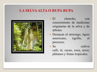 Las 8 regiones naturales del peru | PPTX