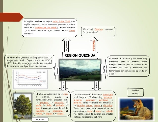 Las 8 regiones naturales del peru