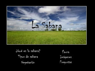 La Sabana

¿Qué es la sabana?     Fauna
 Tipos de sabana     Imágenes
    Vegetación       Preguntas
 