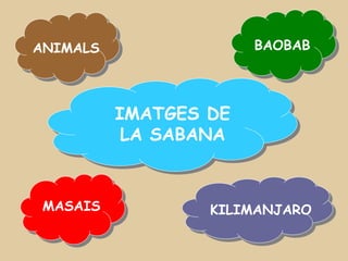 ANIMALS                BAOBAB




          IMATGES DE
           LA SABANA



 MASAIS           KILIMANJARO
 