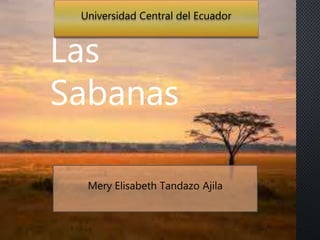 Las
Sabanas
Mery Elisabeth Tandazo Ajila
Universidad Central del Ecuador
 