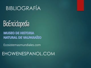BIBLIOGRAFÍA
Ecosistemasmundiales.com
EHOWENESPANOL.COM
 
