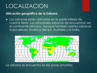 LOCALIZACION
Ubicación geográfica de la Sabana
 Las sabanas están ubicadas en la parte inferior de
nuestra tierra. Las principales sabanas de encuentran en
el continente africano, aunque también existen sabanas
tropicales en América del Sur, Australia y la India.
La sabana se encuentra en las zonas amarillas
 