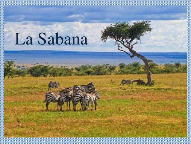 la sabana