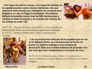 Manuel Glez La Sabana Santa 26 
- A lo largo de todo el cuerpo, con especial claridad en 
la espalda pueden verse marcas idénticas a las que 
dejaría el instrumento que utilizaban los romanos para 
flagelar a un reo: el Flagrum taxillatum. El profesor 
Bollone ha podido contar más de 600 contusiones y 
heridas en todo el cuerpo y se cuentan las marcas de 
los azotes en unos 120. 
Mt 27, 26.- Entonces les soltó a Barrabás; y a Jesús, después de 
haberle hecho azotar, se lo entregó para que fuera crucificado. 
Jn 19, 1-3.- Entonces Pilato tomó a Jesús y mandó que lo 
azotaran. 
- Las excoriaciones oblicuas de la espalda que se ven 
en la Sábana Santa, se corresponden al hecho de 
portar un madero análogo a una traviesa de 
ferrocarril. Éste era el modo habitual de proceder con 
los reos que eran condenados a la muerte de cruz. 
Jn 19, 16-17.- Tomaron, pues, a Jesús; y él, con la cruz a 
cuestas, salió hacia el lugar llamado de la Calavera, en hebreo 
Gólgota 
 