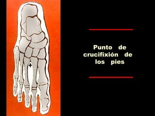 Punto de
crucifixión de
los pies
 