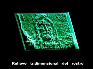 Relieve tridimensional del rostro
 