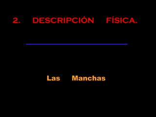 2. DESCRIPCIÓN FÍSICA.
Las Manchas
 