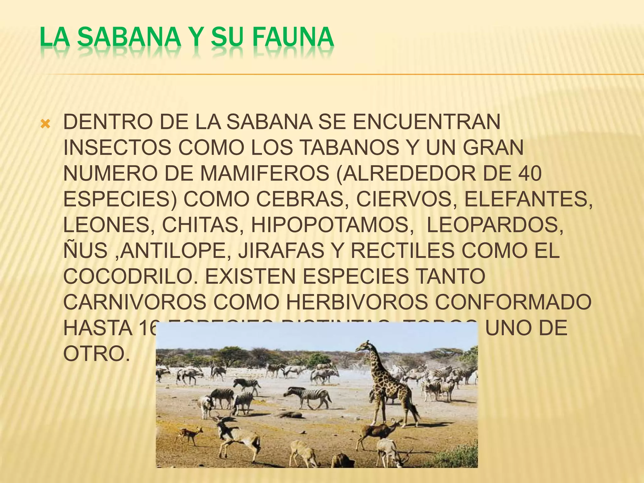 La sabana y sus caracteristicas | PPTX