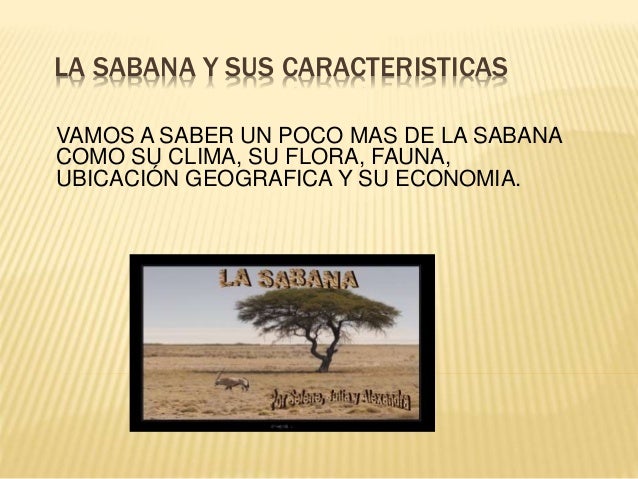 La sabana y sus caracteristicas