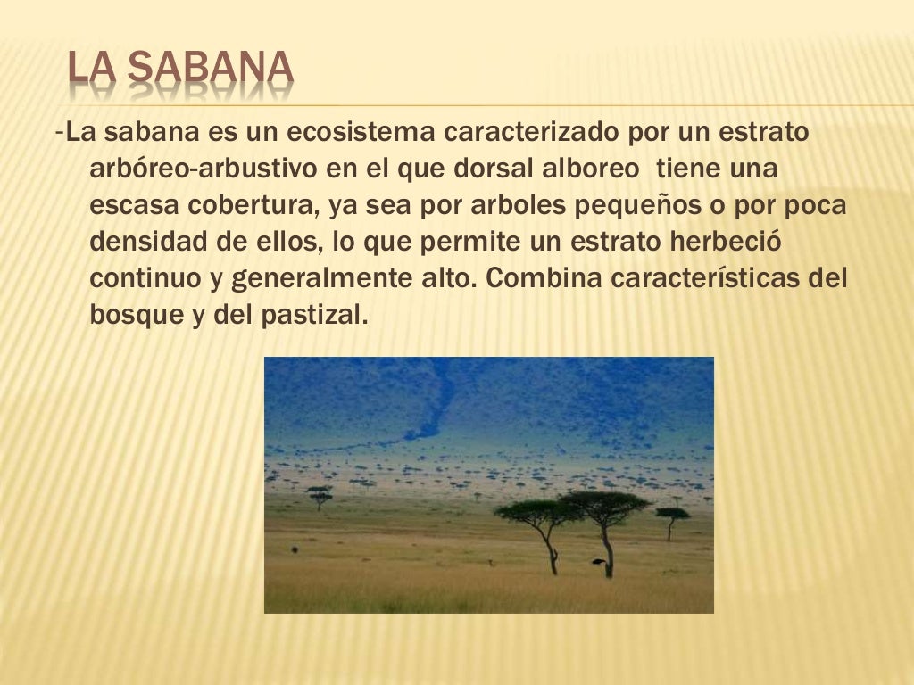 La sabana y sus caracteristicas