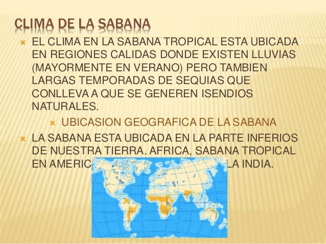 La sabana y sus caracteristicas
