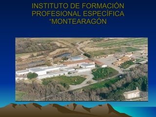INSTITUTO DE FORMACIÓN PROFESIONAL ESPECÍFICA “MONTEARAGÓN 