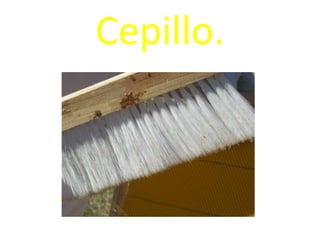 Cepillo. 