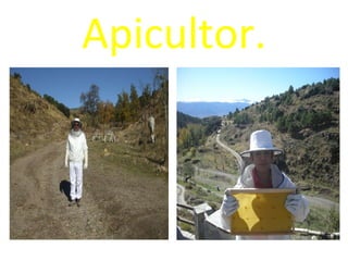 Apicultor. 
