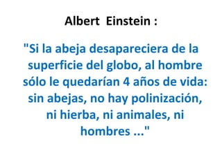 Albert  Einstein : "Si la abeja desapareciera de la superficie del globo, al hombre sólo le quedarían 4 años de vida: sin abejas, no hay polinización, ni hierba, ni animales, ni hombres ..." 