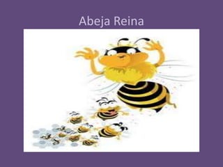 Abeja Reina

 