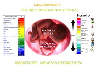 TABLA COMPARATIVA




     SANGRE 7.4
       (AM) 8.4



   SOMOS AGUA
    DE MAR (AM)
 
