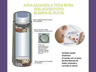 También puede
alcalinizar
el cuerpo con un poco
De Bicarbonato de
Sodio; evitando y
curando el cáncer.
 