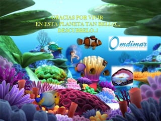 La sabiduria del agua de mar