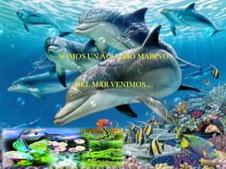 Rene Quinton
    1904
 