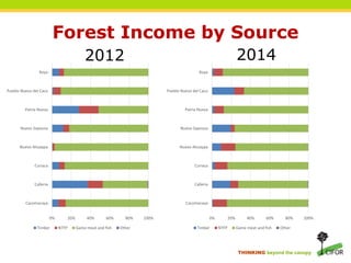 Reconciling policy and practice in the co-management of forests in indigenous territories