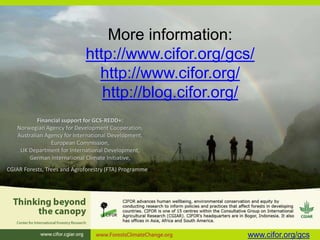 Reconciling policy and practice in the co-management of forests in indigenous territories