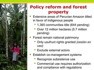 Reconciling policy and practice in the co-management of forests in indigenous territories