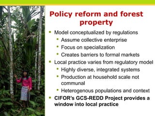 Reconciling policy and practice in the co-management of forests in indigenous territories