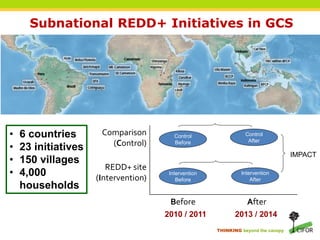 Reconciling policy and practice in the co-management of forests in indigenous territories