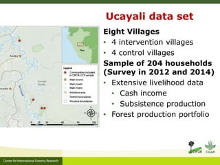 Reconciling policy and practice in the co-management of forests in indigenous territories