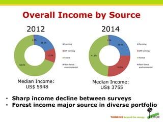 Reconciling policy and practice in the co-management of forests in indigenous territories