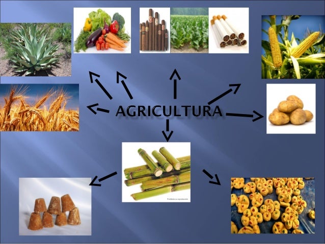 Las actividades economicas en el porfiriato