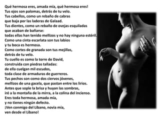 Qué hermosa eres, amada mía, qué hermosa eres! 
Tus ojos son palomas, detrás de tu velo. 
Tus cabellos, como un rebaño de cabras 
que baja por las laderas de Galaad. 
Tus dientes, como un rebaño de ovejas esquiladas 
que acaban de bañarse: 
todas ellas han tenido mellizos y no hay ninguna estéril. 
Como una cinta escarlata son tus labios 
y tu boca es hermosa. 
Como cortes de granada son tus mejillas, 
detrás de tu velo. 
Tu cuello es como la torre de David, 
construida con piedras talladas: 
de ella cuelgan mil escudos, 
toda clase de armaduras de guerreros. 
Tus pechos son como dos ciervos jóvenes, 
mellizos de una gacela, que pastan entre los lirios. 
Antes que sople la brisa y huyan las sombras, 
iré a la montaña de la mirra, a la colina del incienso. 
Eres toda hermosa, amada mía, 
y no tienes ningún defecto. 
¡Ven conmigo del Líbano, novia mía, 
ven desde el Líbano! 
 