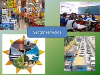 Sector servicios
 