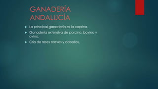 GANADERÍA
ANDALUCÍA
 La principal ganadería es la caprina.
 Ganadería extensiva de porcino, bovino y
ovino.
 Cría de reses bravas y caballos.
 