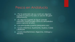 Pesca en Andalucía
 - Por la extensión de sus costa en algunos
lugares la pesca ha sido un sector de gran
importancia.
 - En algunos lugares se sigue usando
métodos tradicionales como la almadraba
para capturar el atún.
 - Los principales puertos pesqueros son:
 - Costa Atlántica: Ayamonte, Huelva, Cádiz
y Barbate
 - Costa Mediterránea: Algeciras, Málaga y
Almería.
 